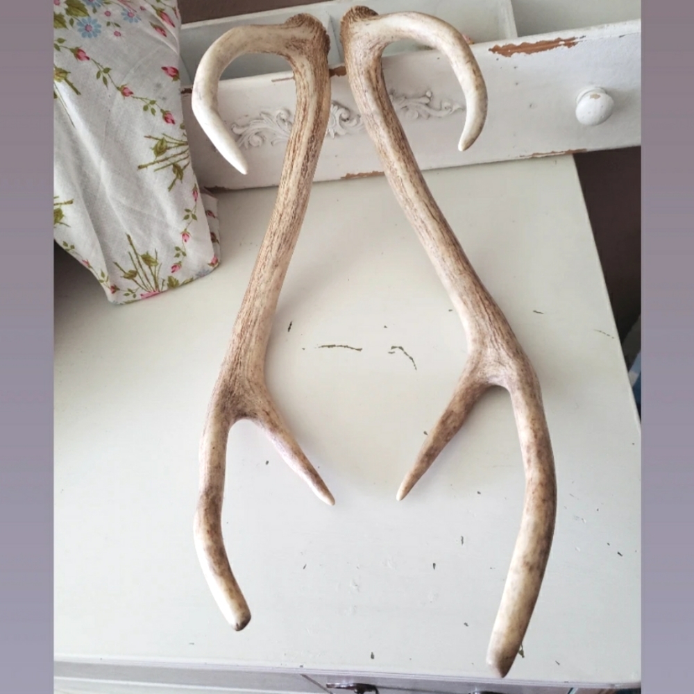 Deer Antlers 🦌